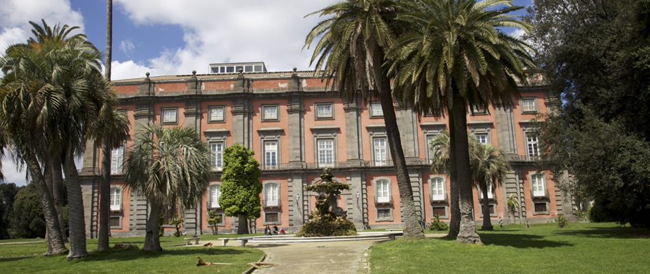 3-capodimonte